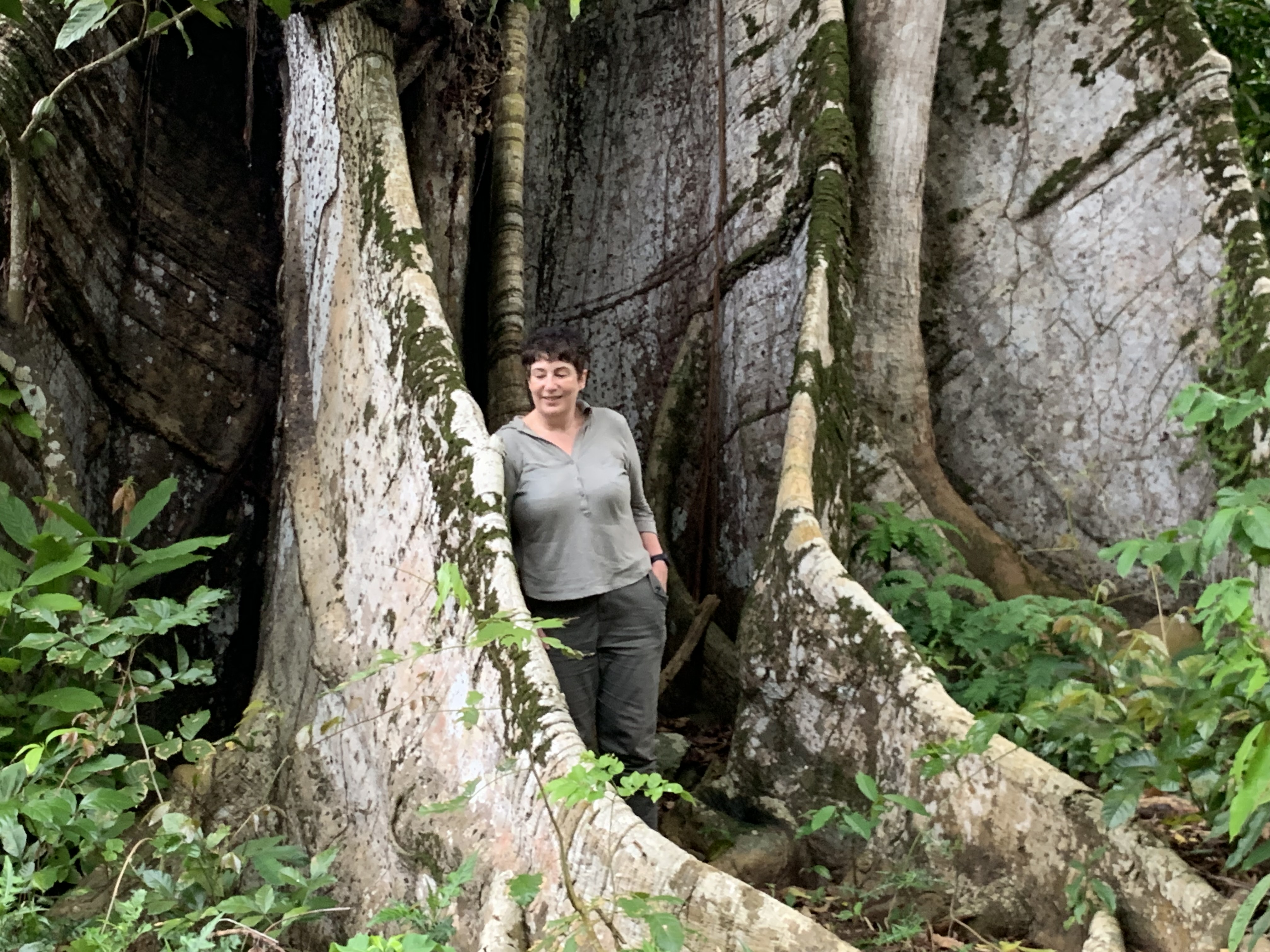 Joanne Harris in rainforest